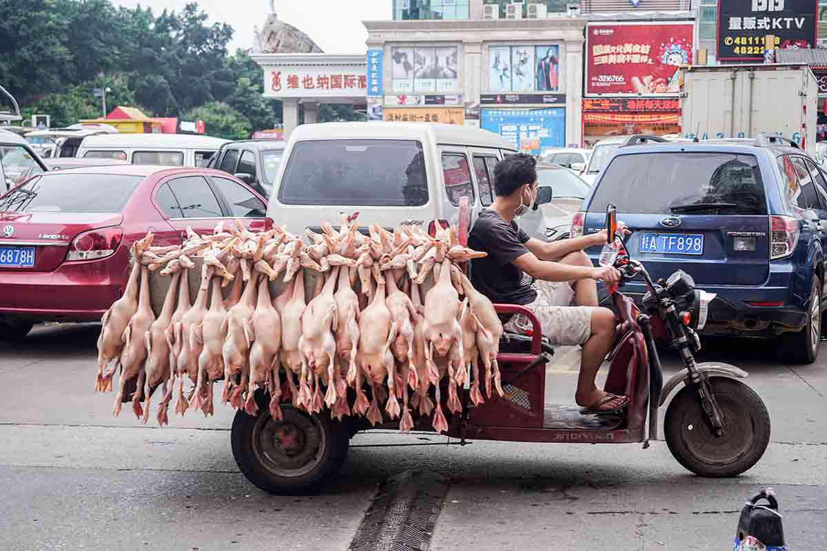 Sigue operando sin medidas sanitarias mercado de Wuhan