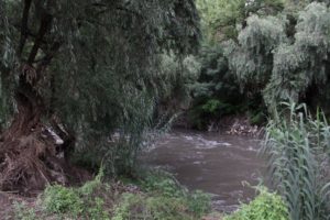 Rescate del Río Atoyac prioridad para el Consejo Estatal de Ecología