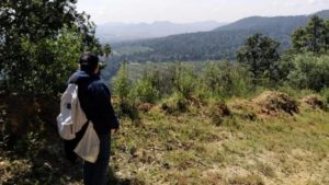 Ante encierro, familias optan por ir a cortar árboles naturales de Navidad