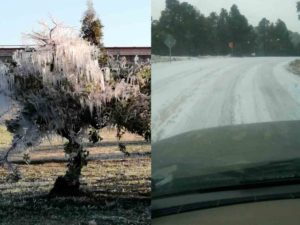 Caen en Chihuahua tormentas de nieve