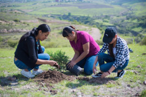 Como Universidad sustentable, la BUAP impulsa políticas y programas de protección al ambiente