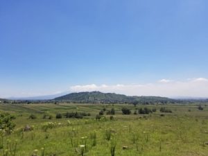 Inicia Medio Ambiente saneamiento del Cerro Zapotecas