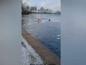 Hombre salta a lago congelado para salvar a un perrito