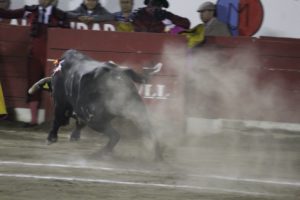 Puebla tendrá corrida toros en la zona conurbada: Barbosa Huerta