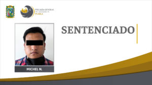 Sentencia condenatoria por violación equiparada en agravio de su prima