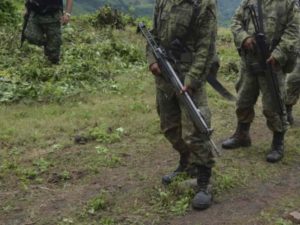 Destruyen plantíos de coca y un laboratorio en Guerrero