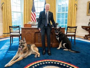 Presume Biden a sus dos mascotas en la Casa Blanca