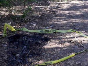 Encuentran cráneos durante operativos en Tamaulipas