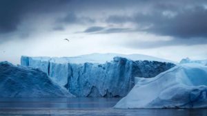Encuentran fósiles de plantas a mil 500 metros bajo el hielo de Groenlandia