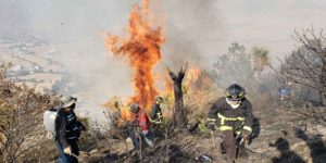 480 hectáreas fueron afectadas por incendio forestal en Tetela de Ocampo