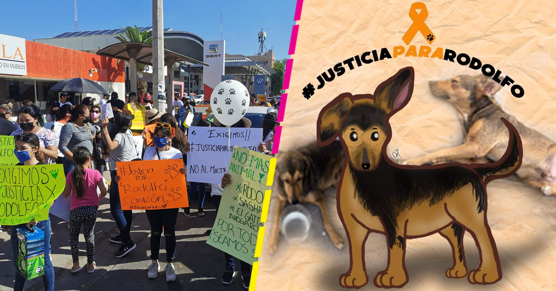 #JusticiaParaRodolfo, asesinan a perrito en la ciudad de Los Mochis, Sinaloa