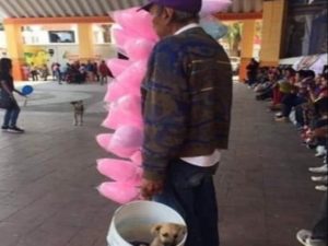 Abuelito que vende algodones conmueve a las redes por el amor a su perro