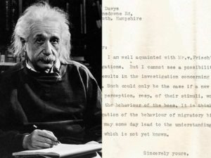 Descubren una carta perdida de Einstein que predice la existencia de supersentidos animales