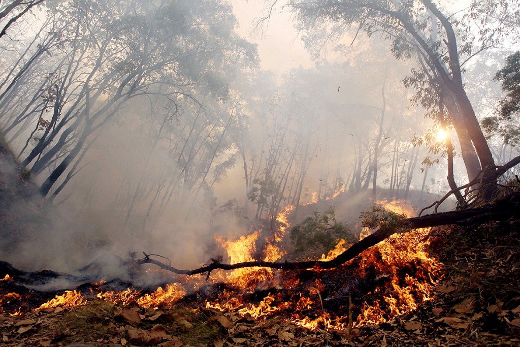 Atención especial para dos incendios en Sonora