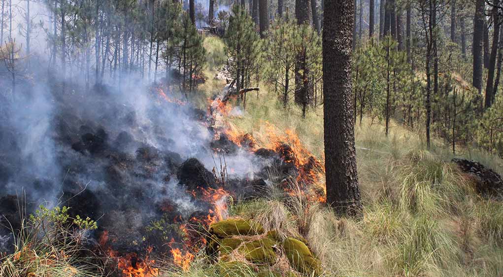 Puebla ocupa el tercer lugar nacional en incendios forestales