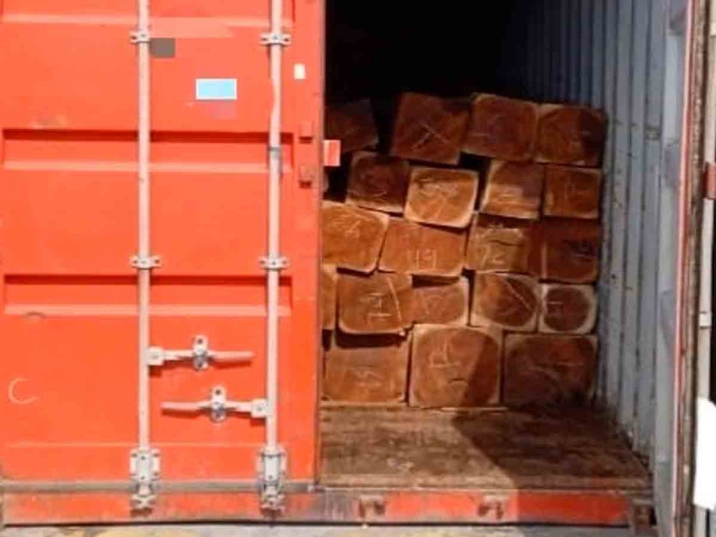 La FGR asegura madera fina con valor de 3 millones 750 mil dólares