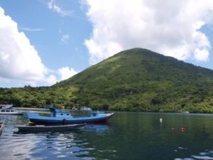 Isla ubicada al este de Indonesia sufre sismo de 6.1