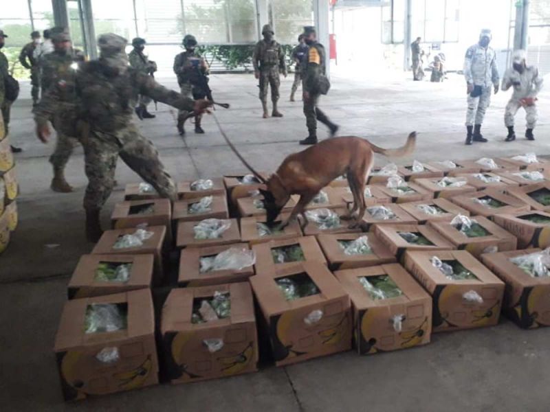 Semar asegura 182 kilos de cocaína en Chiapas