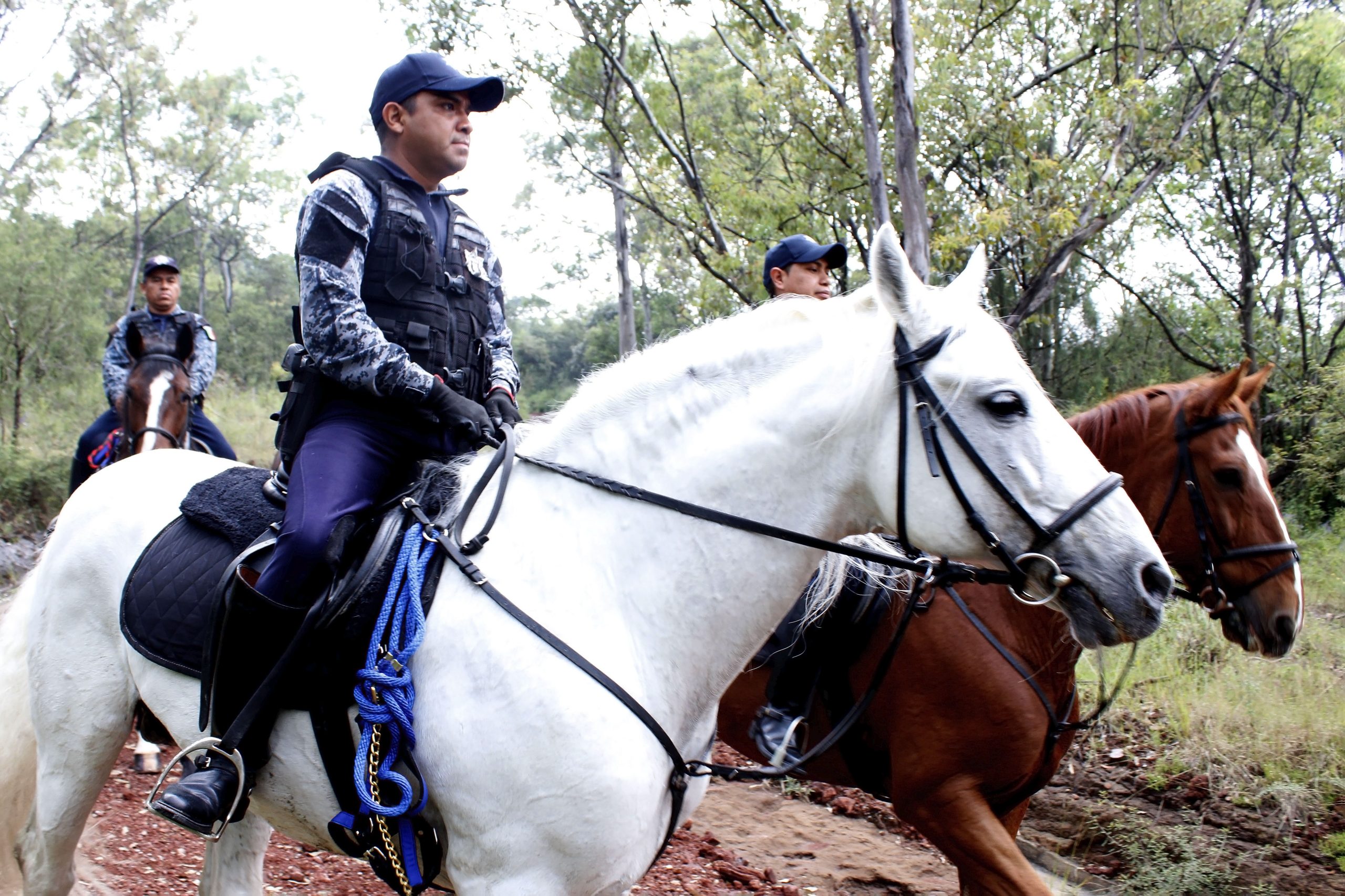 Actual gobierno acabó con tala y permisos para construcción de fraccionamientos en flor del bosque: MBH