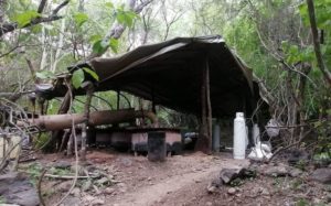 Aseguran laboratorio clandestino en Sinaloa