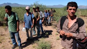 Detectan ruta de migración ilegal en Tijuana, la mayoría son brasileños