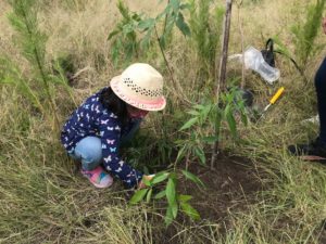 Ayuntamiento de Puebla y Fundación Conserva México siembran 200 árboles en el Parque Cerro de Amalucan