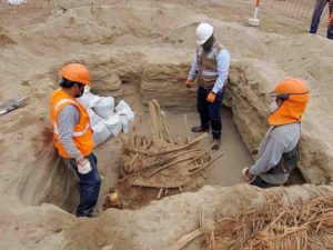 Encuentran restos humanos de 800 años de antigüedad en Perú