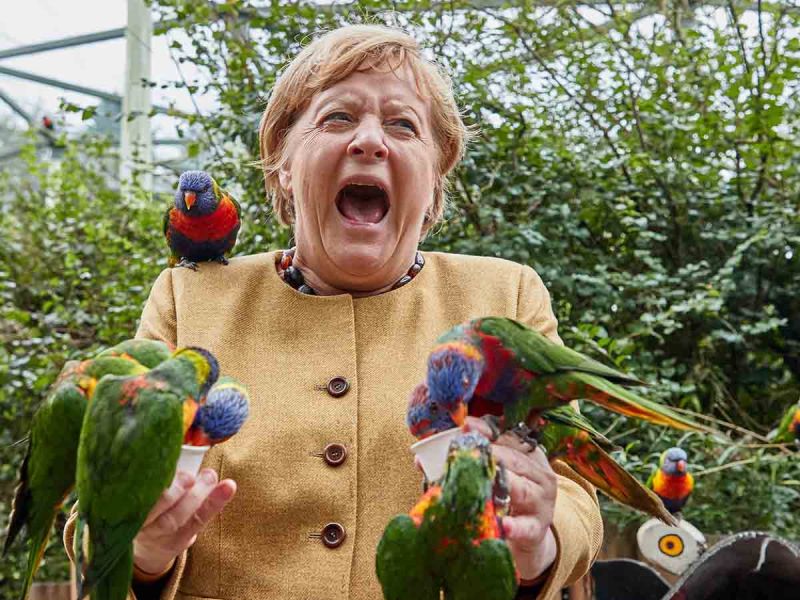Merkel visita santuario de aves, es ‘mordida’ por loros y foto se hace viral