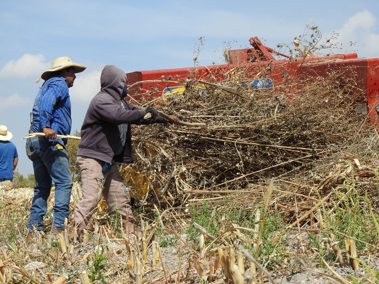 Ayuntamiento de Puebla reactiva 138 hectáreas para la producción agrícola