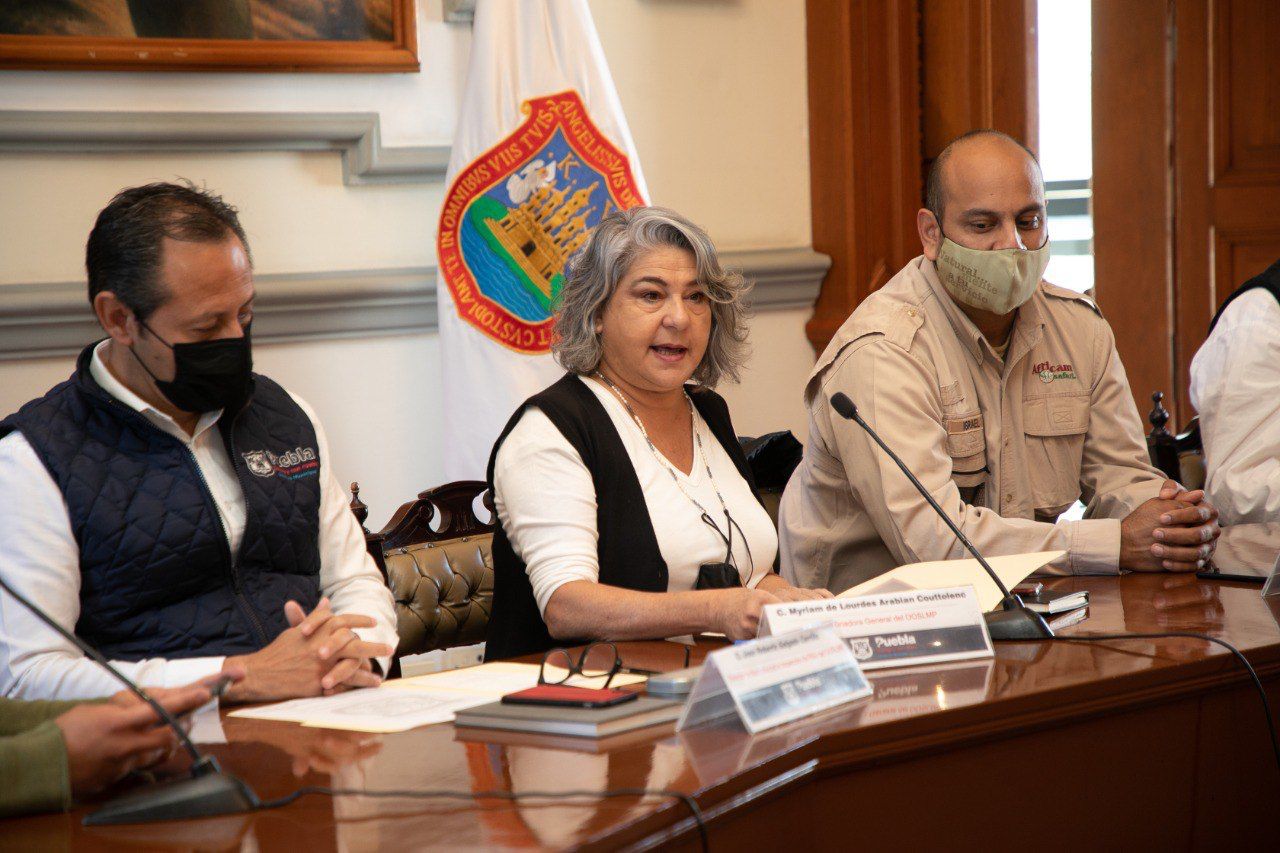 Ayuntamiento de Puebla y Africam Safari lanzan campaña conjunta para reciclar árboles de navidad