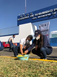 Cadetes se suman a jornadas de proximidad organizadas por el Ayuntamiento en Bosques de San Sebastián