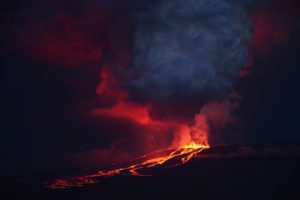 Entra en erupción un volcán en Galápagos donde habitan especies únicas