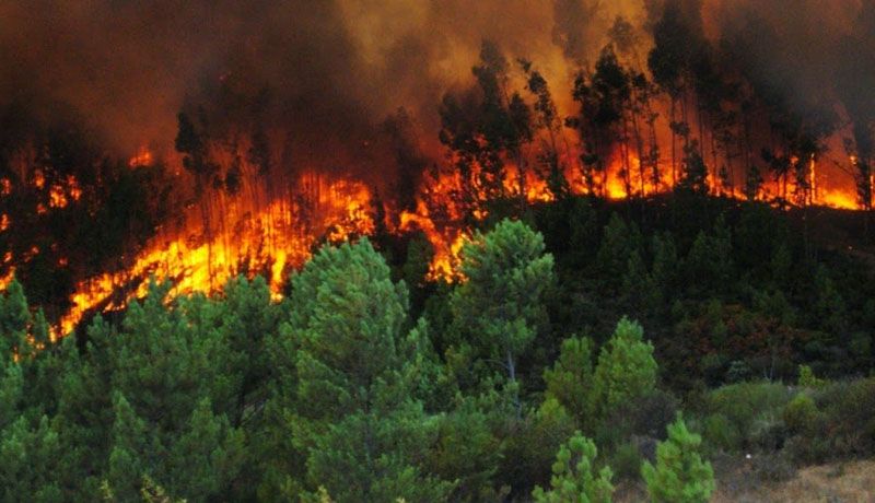 López Obrador resalta trabajo coordinado para atender incendios forestales