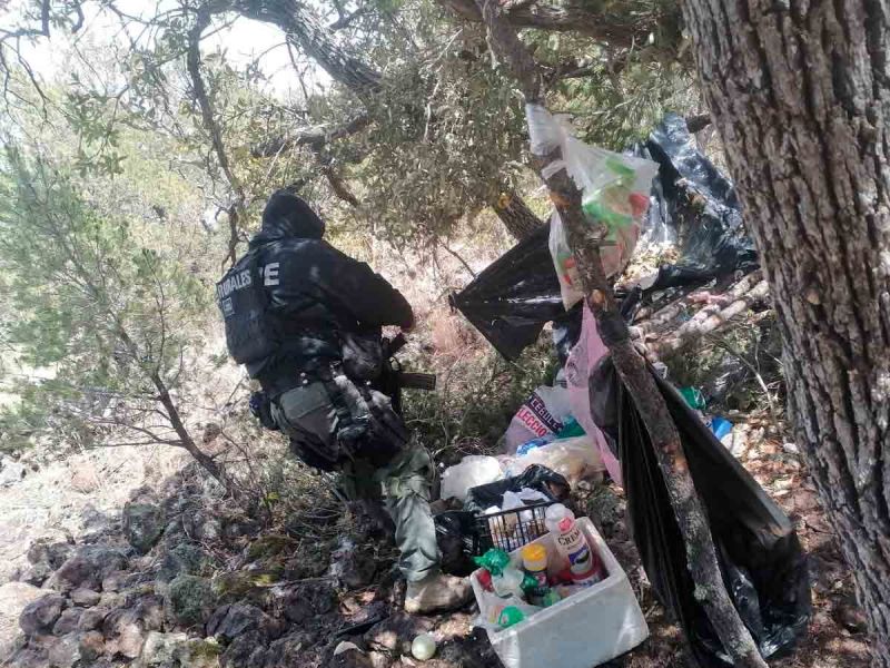 Policía de Chihuahua destruye campamento clandestino de droga