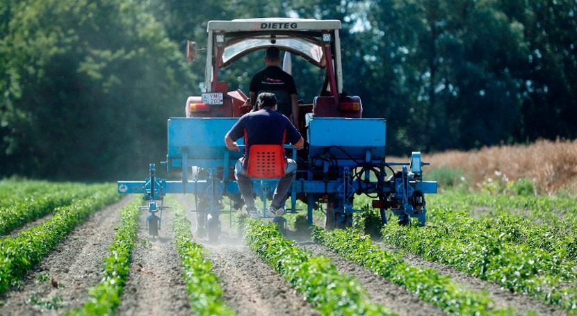 Inicia entrega de fertilizantes en nueve estados