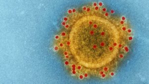 Nueva variante de Ómicron representa ya el 78% de los casos de Covid-19 en EU