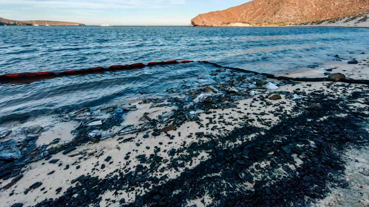 Playa Balandra es declarada en contingencia ambiental por derrame de hidrocarburos