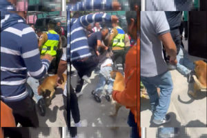 ¡Hasta el perro se unió!, pobladores de Tecamachalco fallan en su intento de lincha a un ladrón.