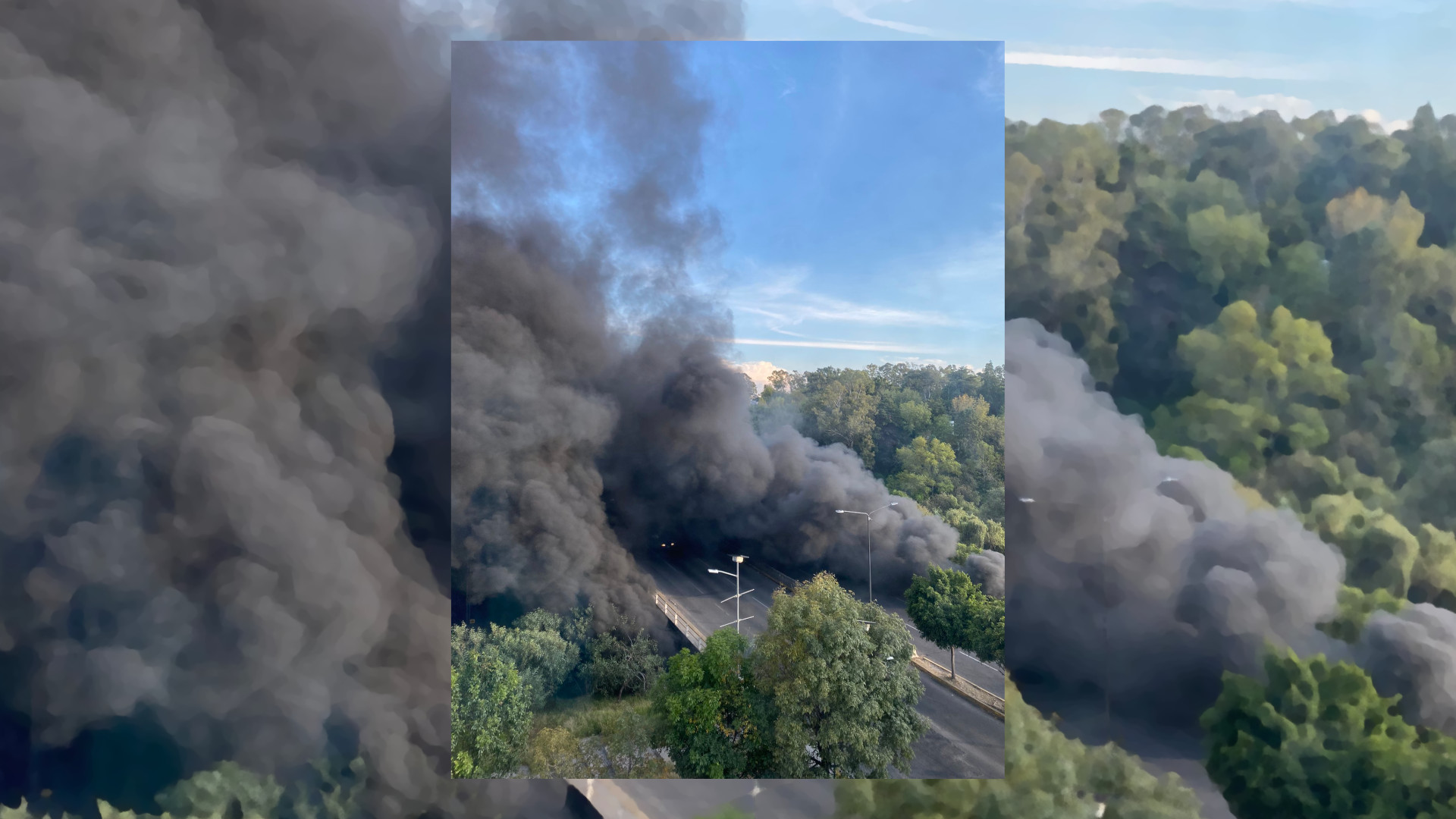 Parque Metropolitano registra incendio durante la tarde del jueves.