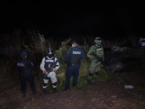 En acción conjunta autoridades de los tres órdenes de gobierno se aseguró un terreno con droga