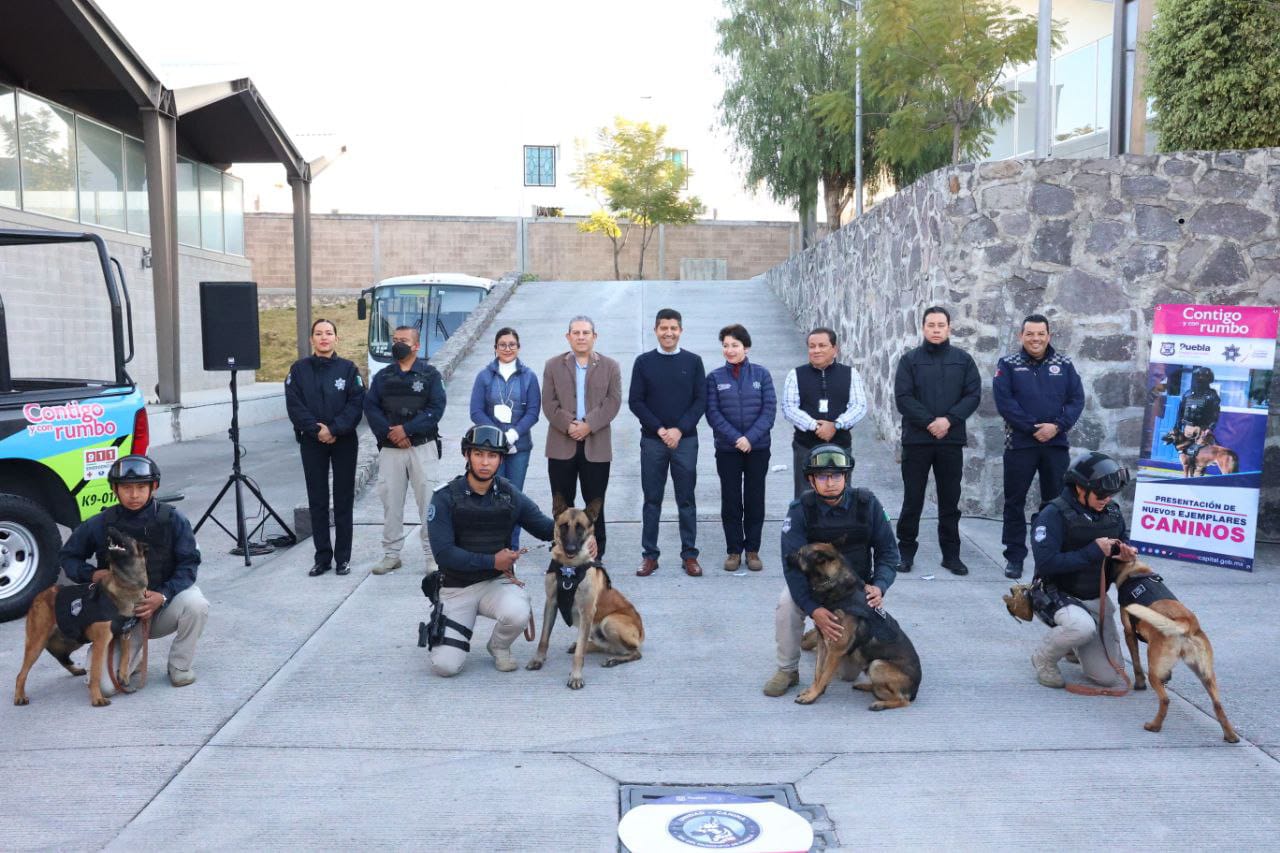 Policía Municipal se fortalece con la incorporación de 10 nuevos ejemplares caninos