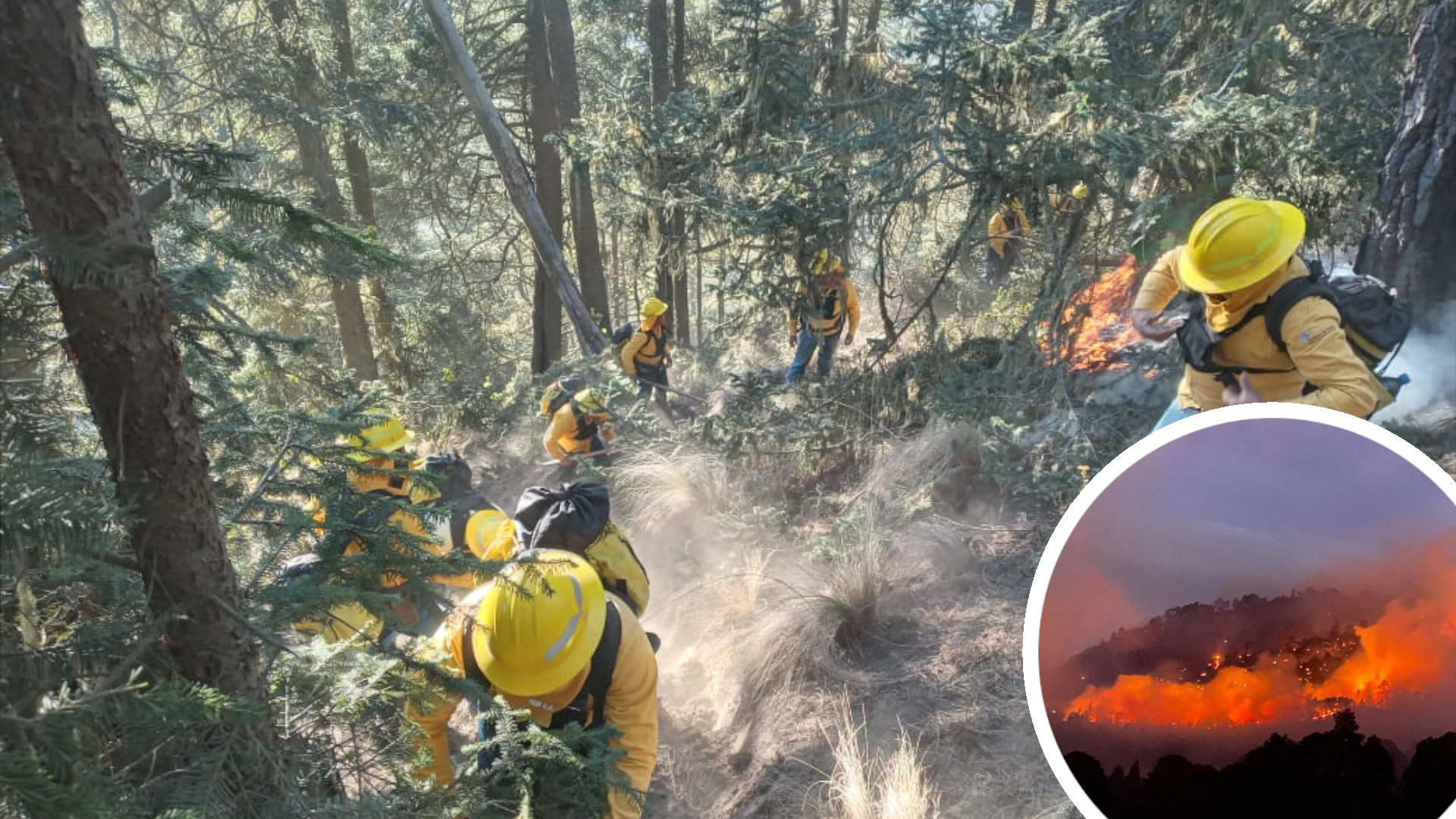 Incendio en el Pico de Orizaba: brigadistas trabajan incansablemente para controlar las llamas