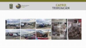 cateo_tehuacan