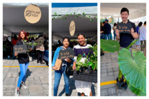 Sumérgete en un mundo verde en el Plant Fest de Cholula y descubre la magia de la naturaleza