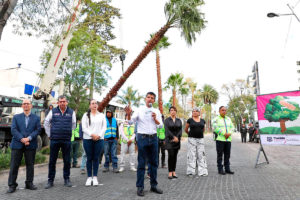 ayuntamiento_de_puebla-reforestacion-avenida_juarez