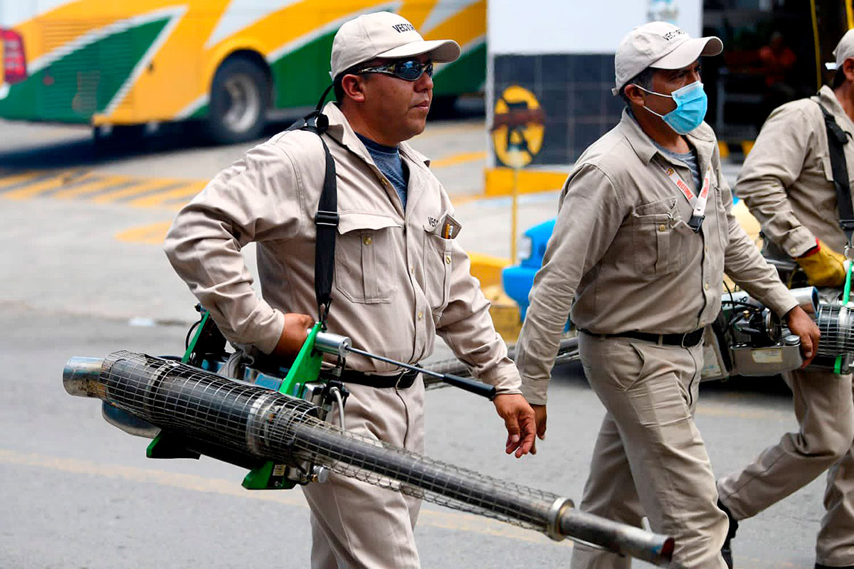 Alerta por dengue en Puebla: El estado reporta 678 casos y tres muertes, números preocupantes en aumento