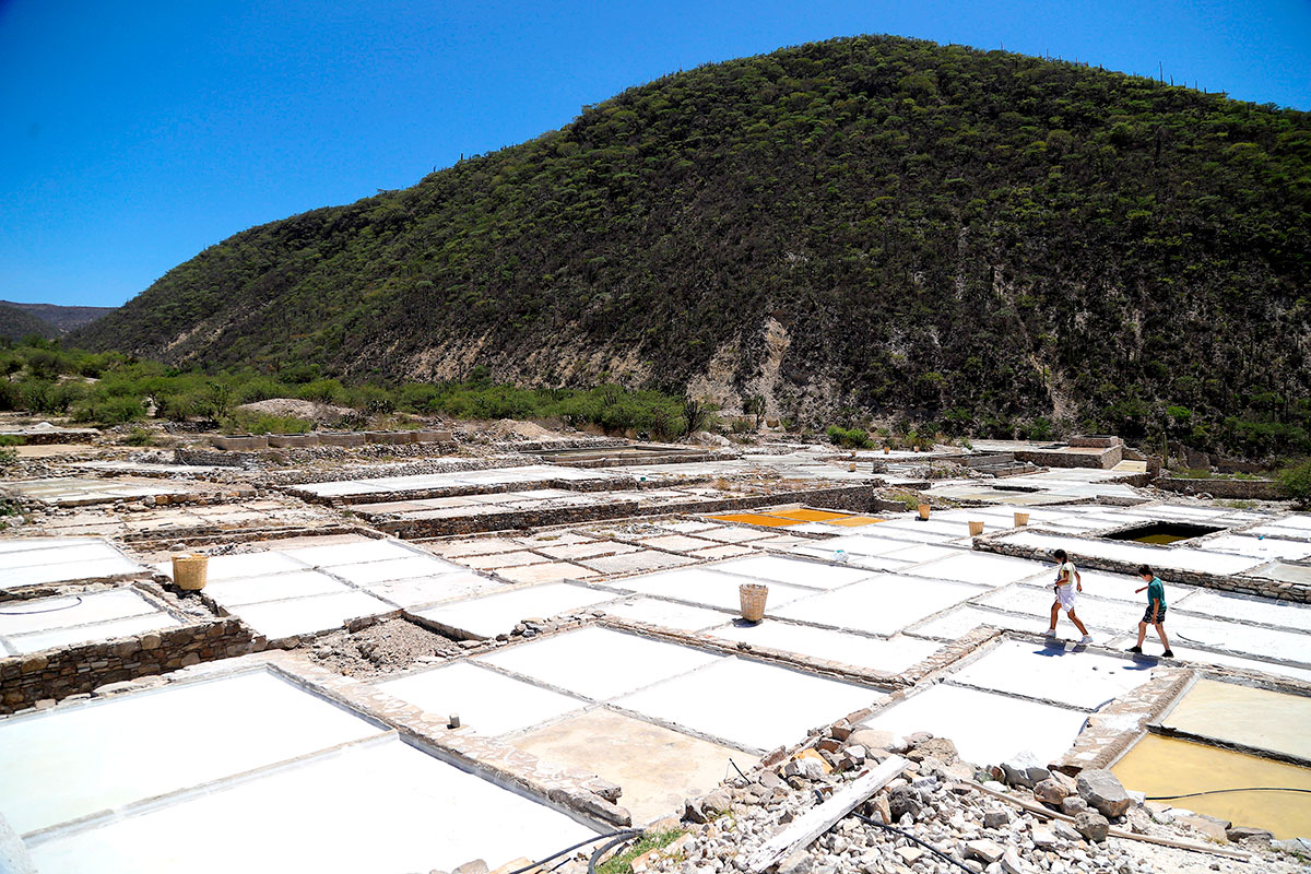 Zapotitlán Salinas aspira nuevamente a convertirse en Pueblo Mágico