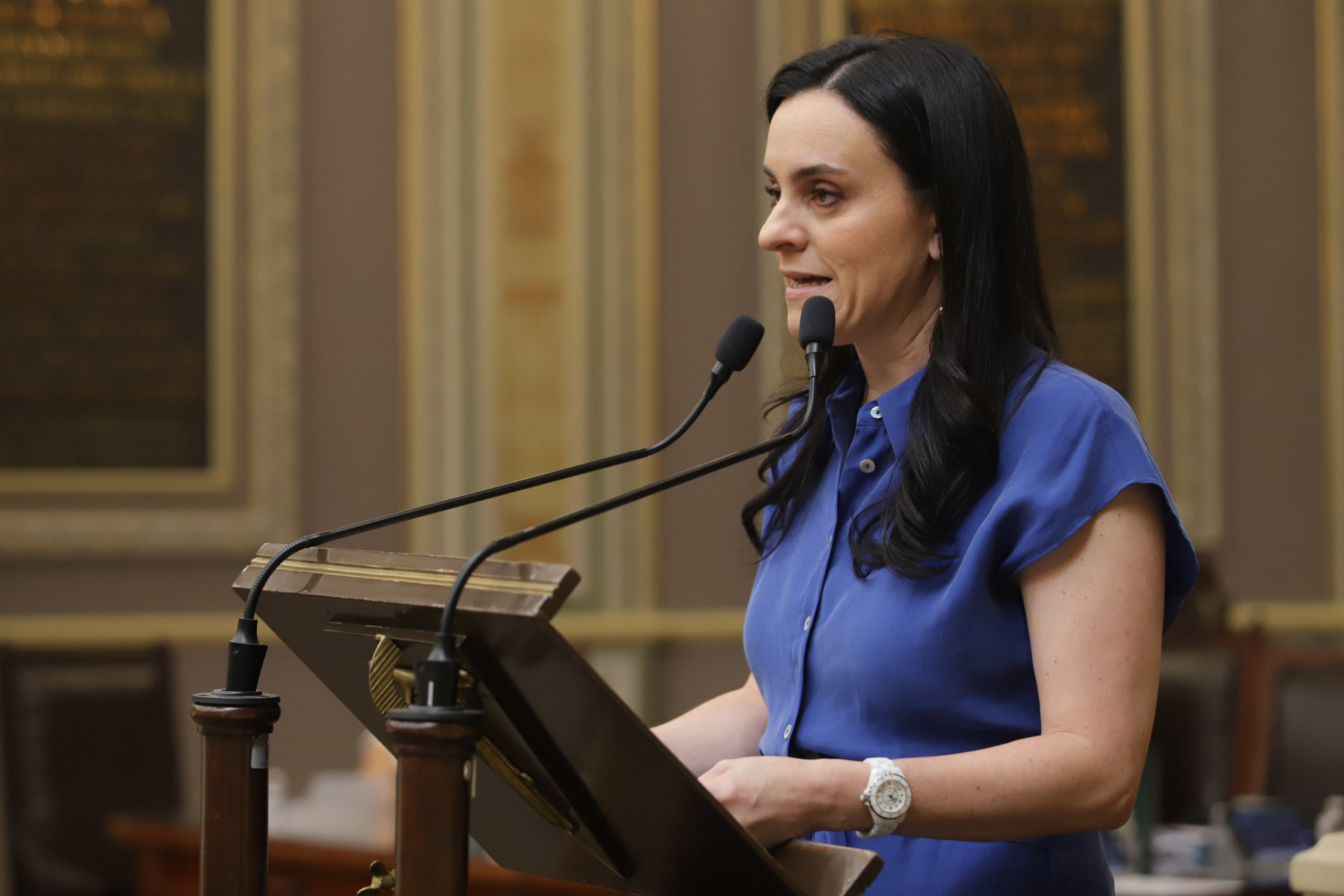 Mónica Rodríguez diputada local panista se apunta al Senado