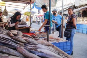 Advertencia de Clausura a Pescaderías: Ayuntamiento Refuerza Medida por Desechos en Vía Pública