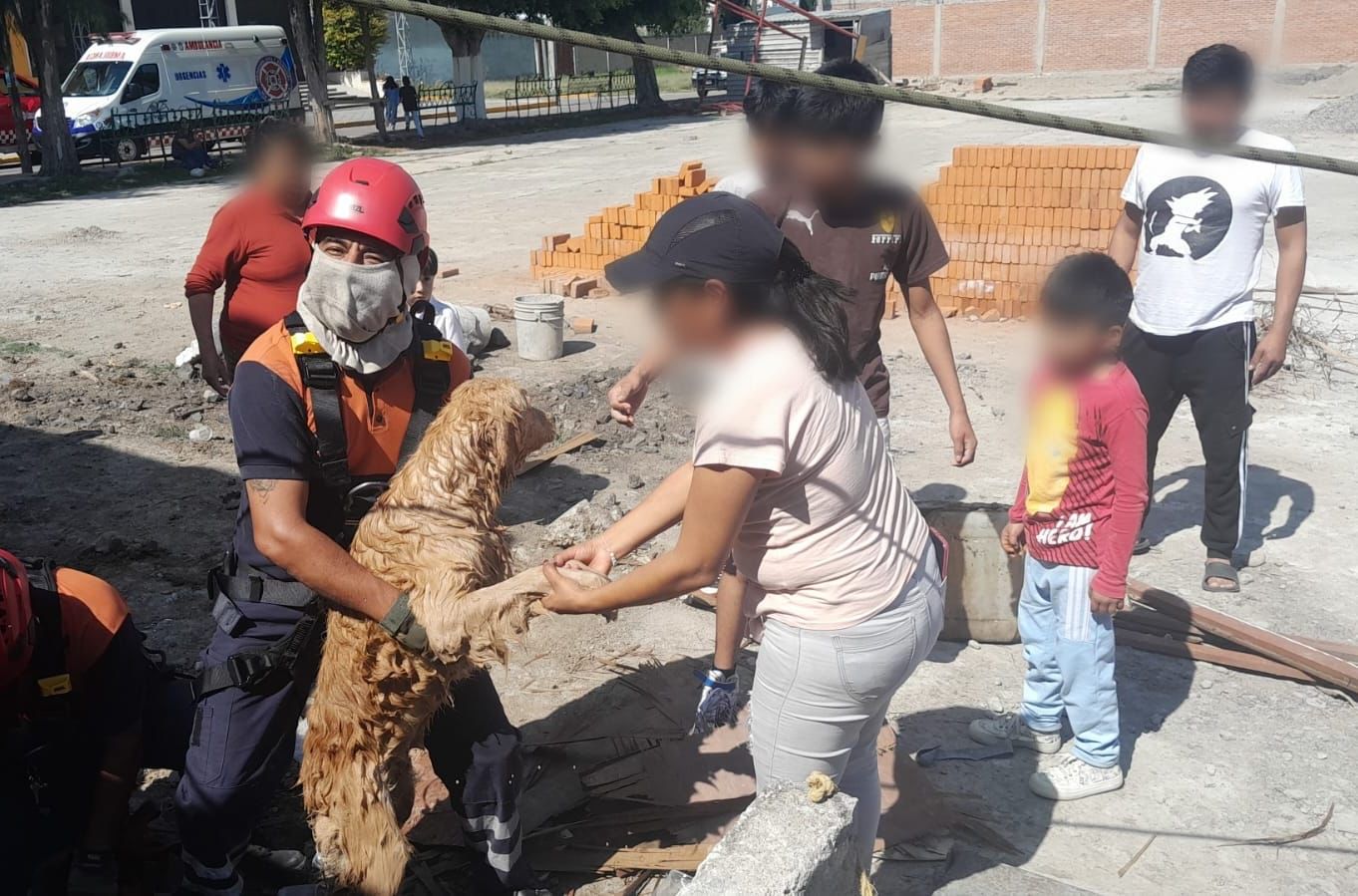 Bomberos de San Andrés Cholula rescatan a dos canes que había caído en un pozo de 18 metros de profundidad